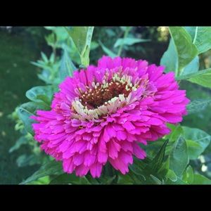 Meet your Posher, Janeth